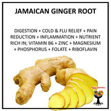 Load image into Gallery viewer, JAMAICAN GINGER ROOT TONIC ELIXIR 2OZ/60ML (FREE SHIPPING)