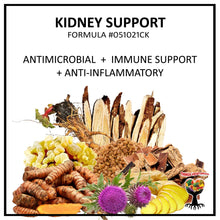 Load image into Gallery viewer, KIDNEY SUPPORT (TONIC ELIXIR #051021CK) 2OZ/60ML