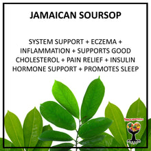 Load image into Gallery viewer, JAMAICAN SOURSOP TONIC ELIXIR 2OZ/60ML (FREE SHIPPING)